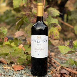 Stellina 2019 Old Vine Zinfandel